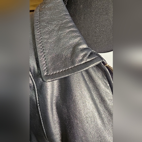 Damselle Metallic Lambs Leather Minimalist Jacket, Small, Zip Close, Collar SOFT - Picture 3 of 12